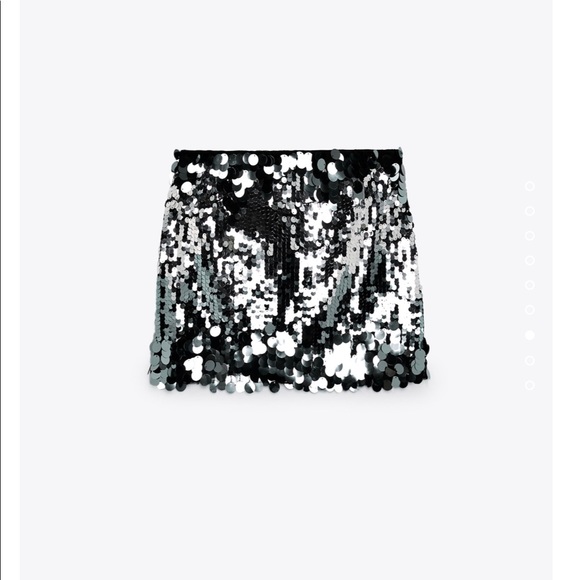Zara Short Sequin Skirt - Picture 7 of 8
